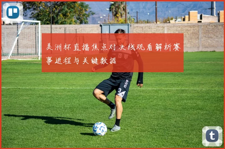 美洲杯直播焦点对决线观看解析赛事进程与关键数据