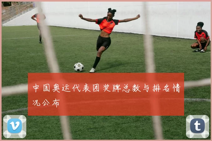 中国奥运代表团奖牌总数与排名情况公布