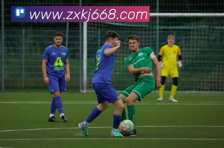 多媒体互动体验